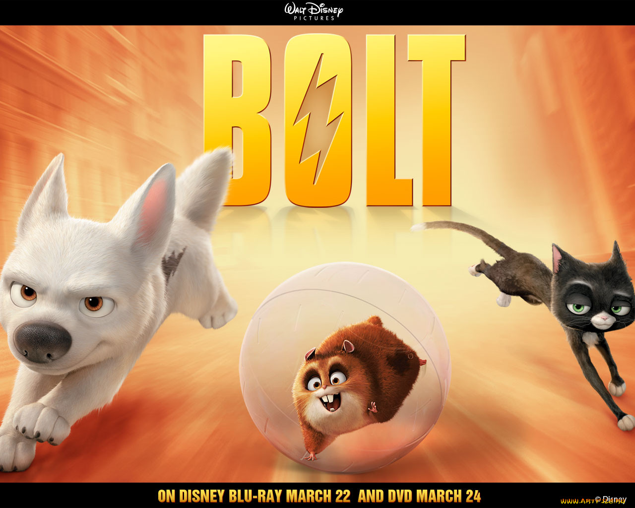 , bolt